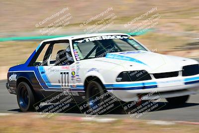 media/May-11-2025-Cobra Club (Sun) [[44ca44ec33]]/Passenger/